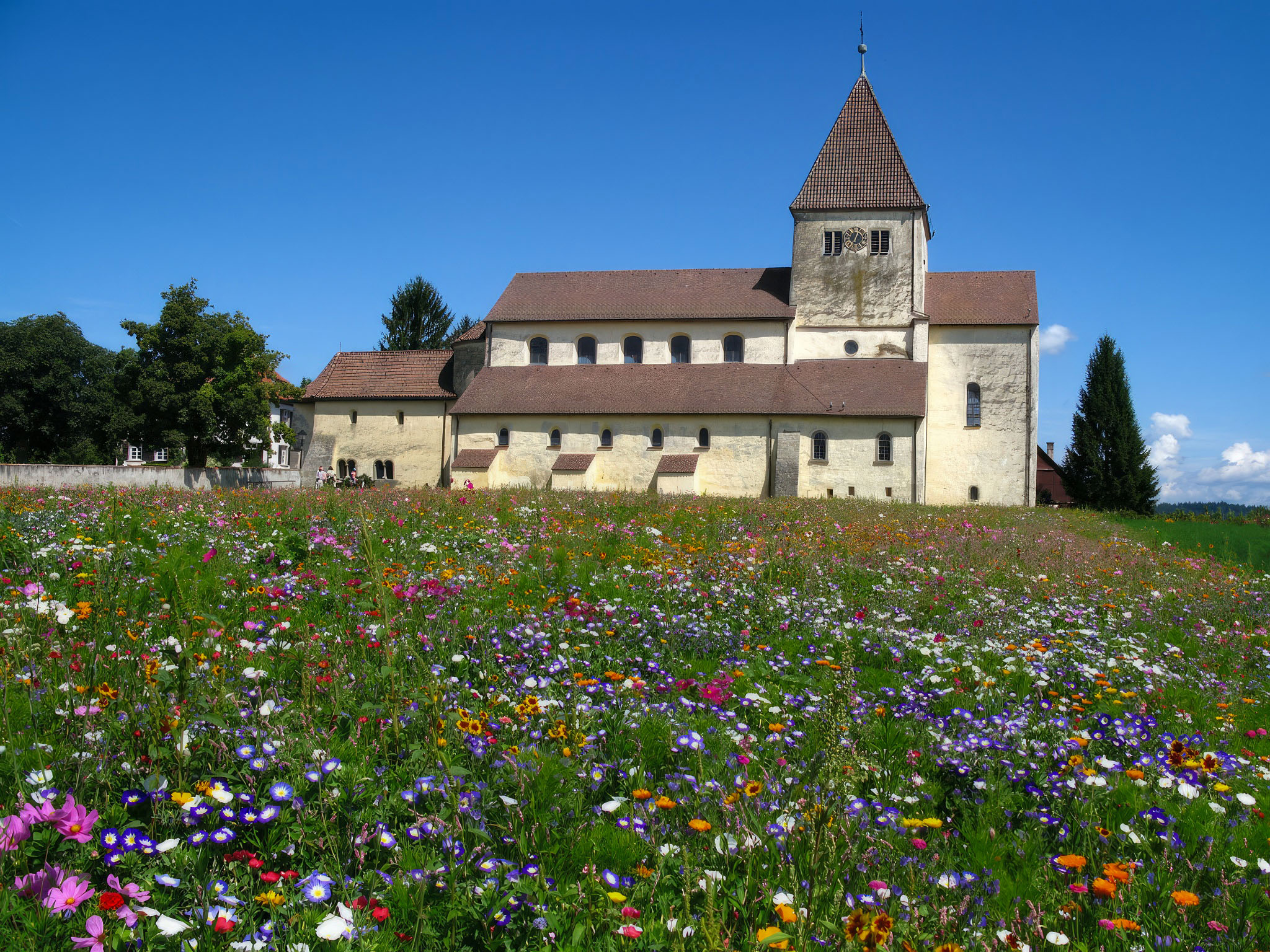 Reichenau